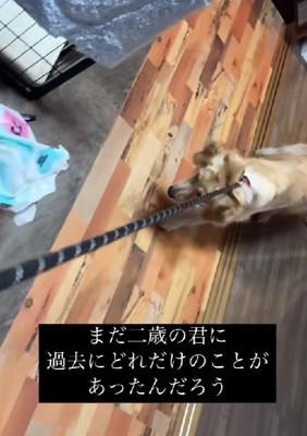 全てが怖くて仕方ない