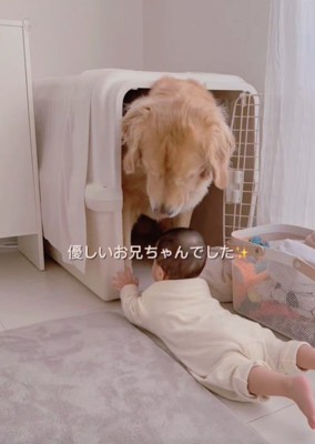 赤ちゃんと犬3