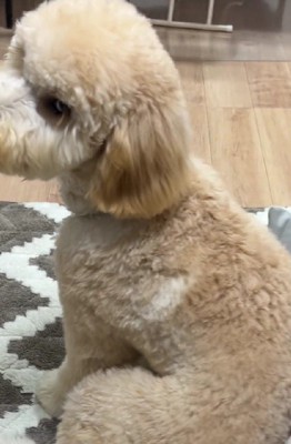 カメラをジロリ