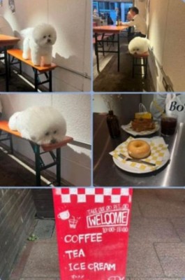 カフェで撮影した写真