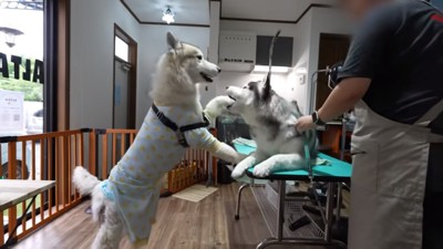 文句を言うヴァルくん