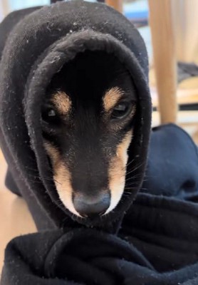 ちょっぴり反省！？