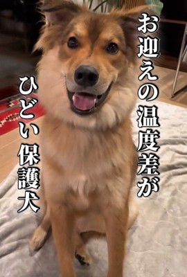 ラッキーくんの態度の違い