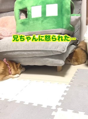 完全に拗ねちゃった！？