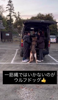 一筋縄ではいきません♪