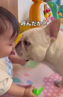 仲睦まじい2人でした