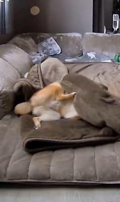 毛布に包まるころ君7