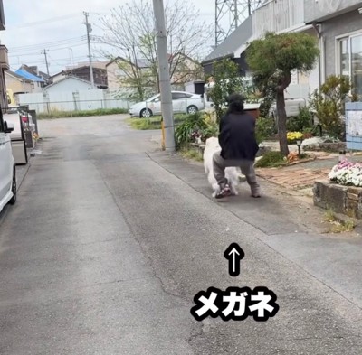 引っ張られる飼い主と逃げようとする犬