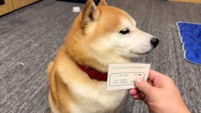 診察券を見せると…