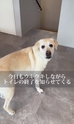 「終わりましたっ」