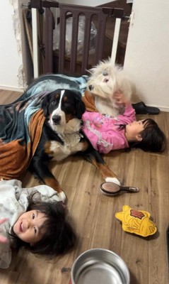 みんな仲良しで尊い!
