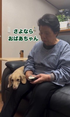 おばあちゃんとの別れを惜しむワンコたち2