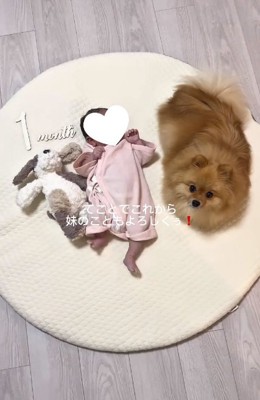 赤ちゃんとハニちゃん