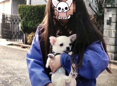 外で人に抱かれる犬