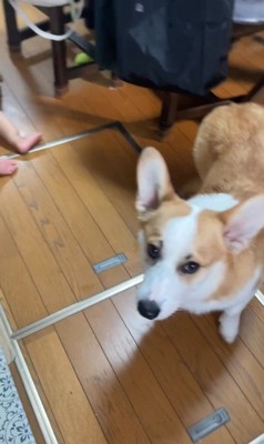 赤ちゃんを見守るまる君8