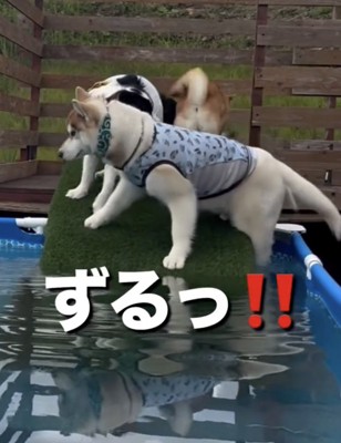 うみくんも踏み外し!