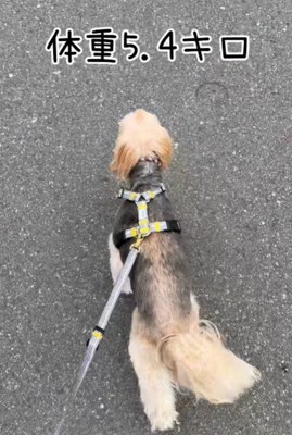 こんなに健やかな体に！