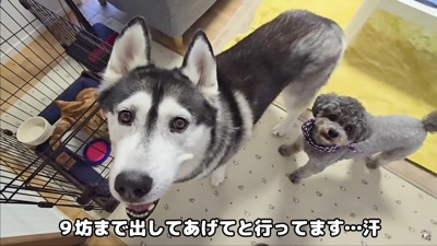 きゅうちゃんもやってきた