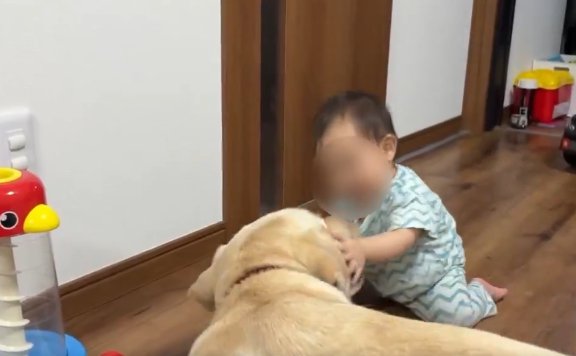 すわってね