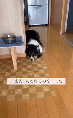 愛されたいのに怖い…