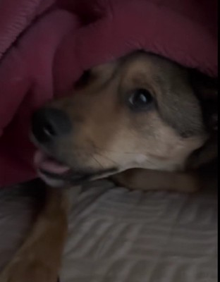 やっと起きてきた