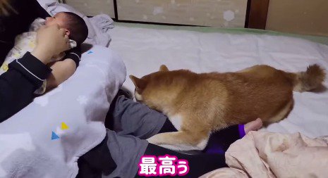 犬にしがみつかれて喜ぶ女性