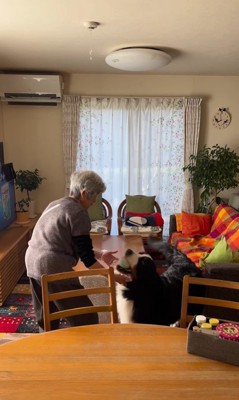 同居をはじめたリンちゃんとおばあちゃん5