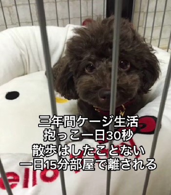 1日30秒の抱っこだけ…