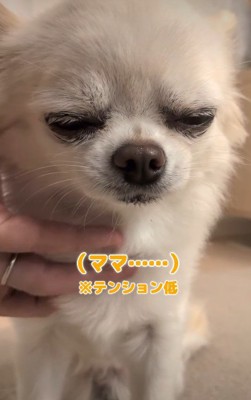 寂しい5日間を過ごした…