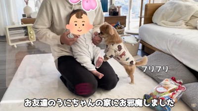 ハナちゃんと赤ちゃんたちの交流