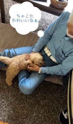 ちゃこたろう君と祖父母の初対面7