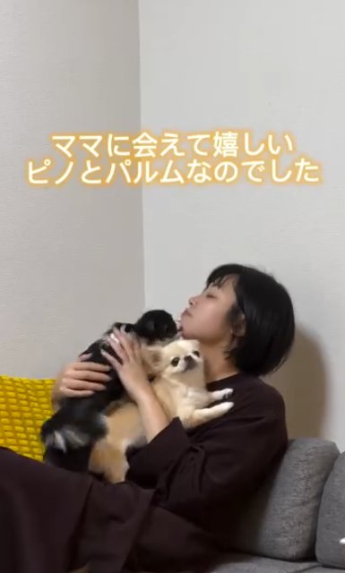 2頭の小型犬を抱えてソファに座る女性