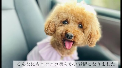 こんなに穏やかな表情に！