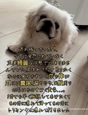 ケアをされていないよう…