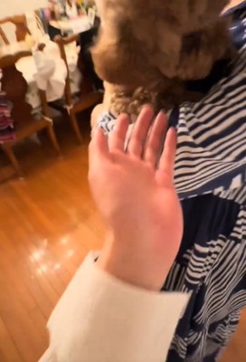 犬に手を差し出す4