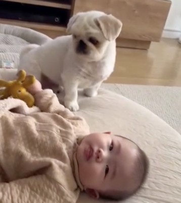 まもるくん「どうしよ…」