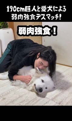 ドレミちゃんVSパパさん3