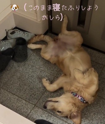 「このまま寝ちゃおう…」