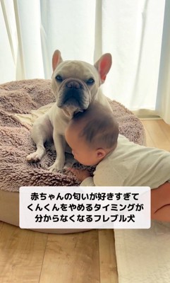 赤ちゃんがそばにきて…