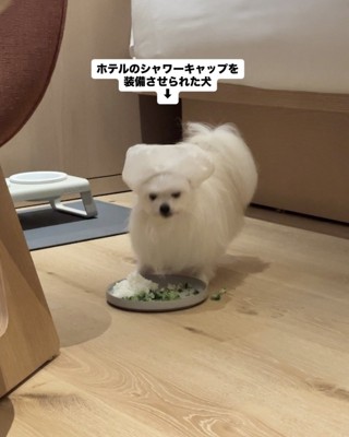 ライフハック