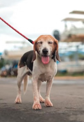 ルビちゃんの笑顔