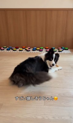 サンゴくんの言葉の理解度を検証9