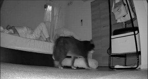 寝返りを打った時のミーシャちゃんの反応8