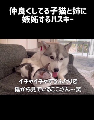 イチャイチャしてたら…