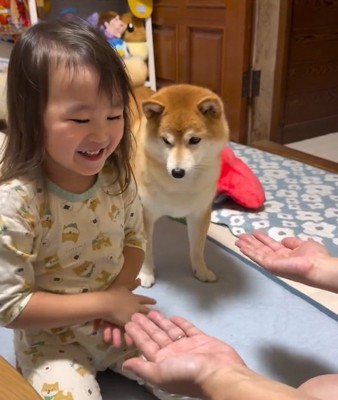 遊びたかったすずちゃん