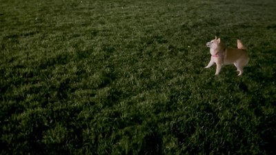 すっかり若返っちゃった！？