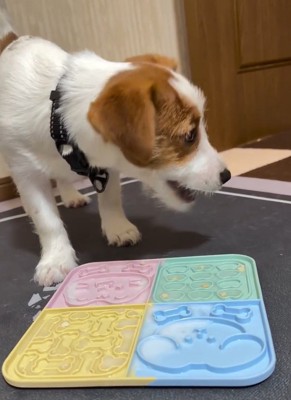 氷に夢中な茶太郎くん