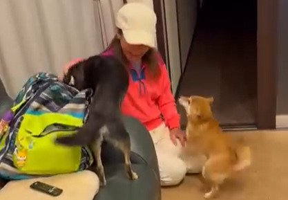 お母さんの隣にいる2匹の犬