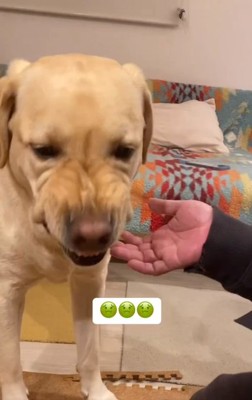 えずくらんらんちゃん2