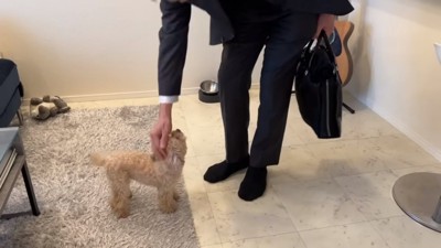 お別れする小殿くん